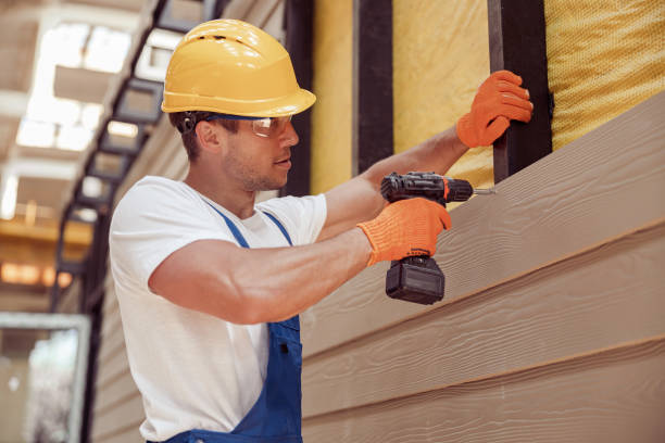 Best Siding Replacement  in Ozona, TX