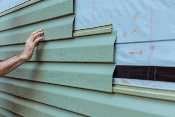 Best Insulated Siding Installation  in Ozona, TX