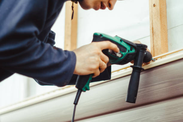 Best Fascia and Soffit Installation  in Ozona, TX